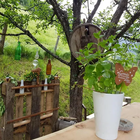 Gastein 샬레 배드호프가스타인