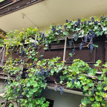 Gastein Horská chata