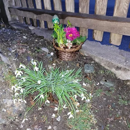 Horská chata Gastein *